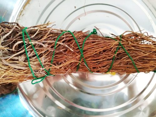 南龍膽 南龍膽